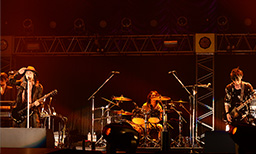 VAMPS